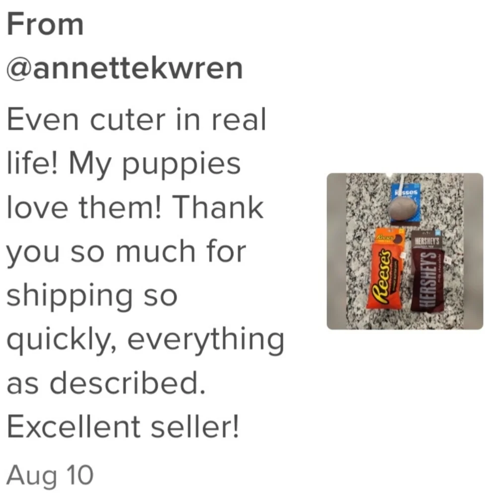 New 2 pet chocolate squeaky plush toys.
